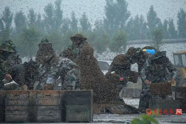 Người đàn ông mặc bộ đồ ong nặng nhất thế giới - Hình 4