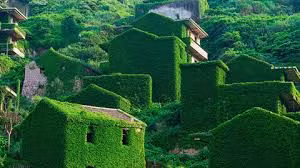 Làng chài bỏ hoang đẹp huyền bí như cảnh phim Hollywood