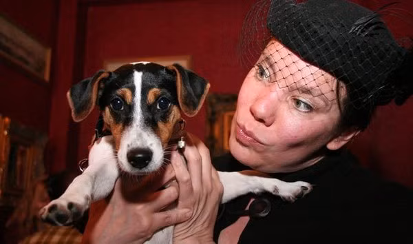 8 đám cưới kỳ lạ nhất thế giới mà bạn không thể tin là có thật