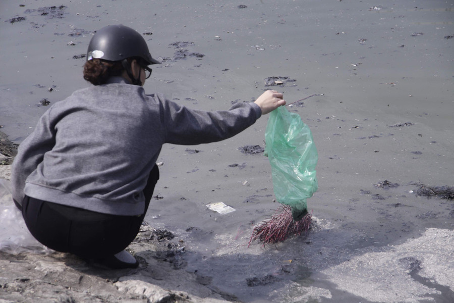 Nhiều người đốt không hết, những chân hương vẫn nguyên vẹn cũng được rải xuống hồ