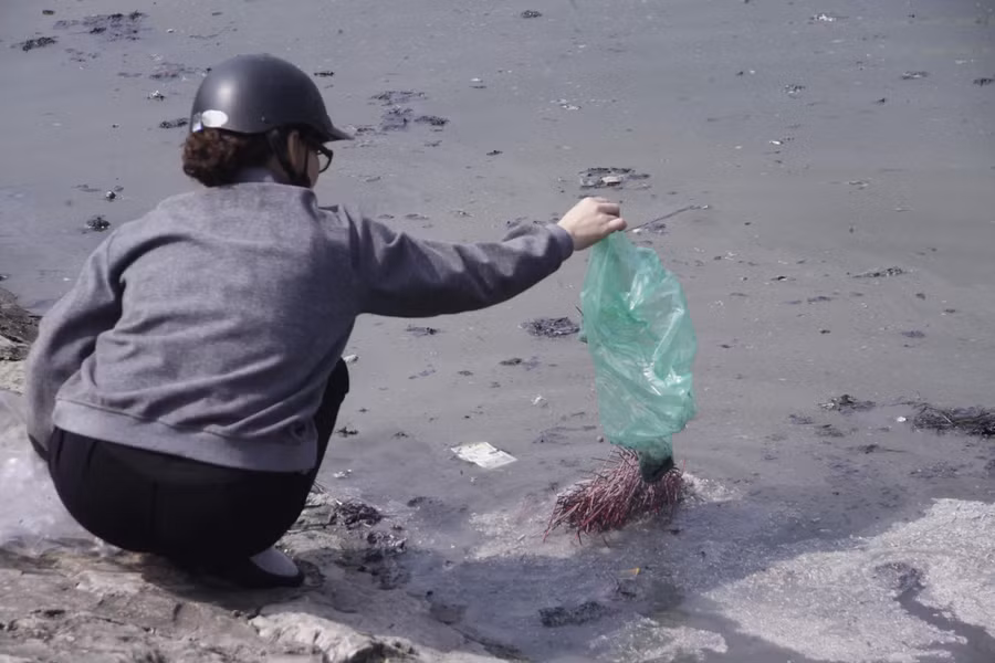 Nhiều người đốt không hết, những chân hương vẫn nguyên vẹn cũng được rải xuống hồ