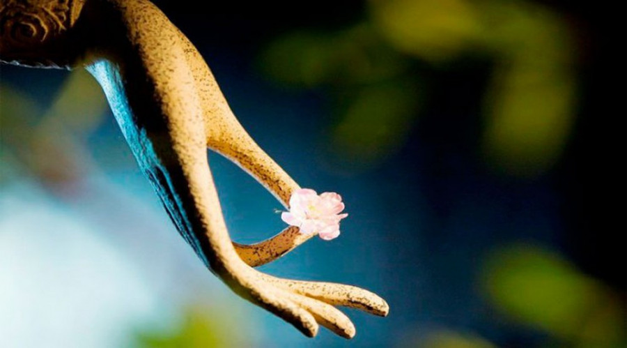 Phật dạy: Con người buông được 5 điều này cuộc sống sẽ nhàn hơn 10 phần ảnh 1 1_39539