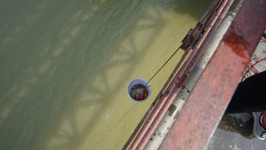 ...sau đó thả từ từ xuống sông Hồng.