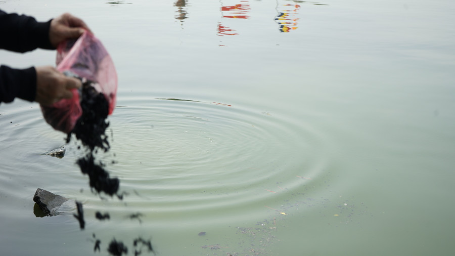 Tại khu vực Hồ Tây, nhiều người hóa vàng sau đó ném thẳng xuống hồ.