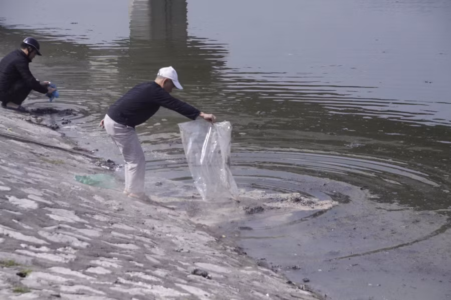 Cùng với đó nhiều túi nilon đựng tro vàng mã cũng được rải thẳng xuống mặt nước hồ