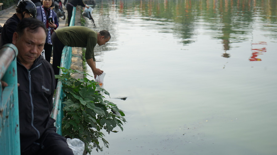 Người dân thả cá, rải tro xuống Hồ Tây.