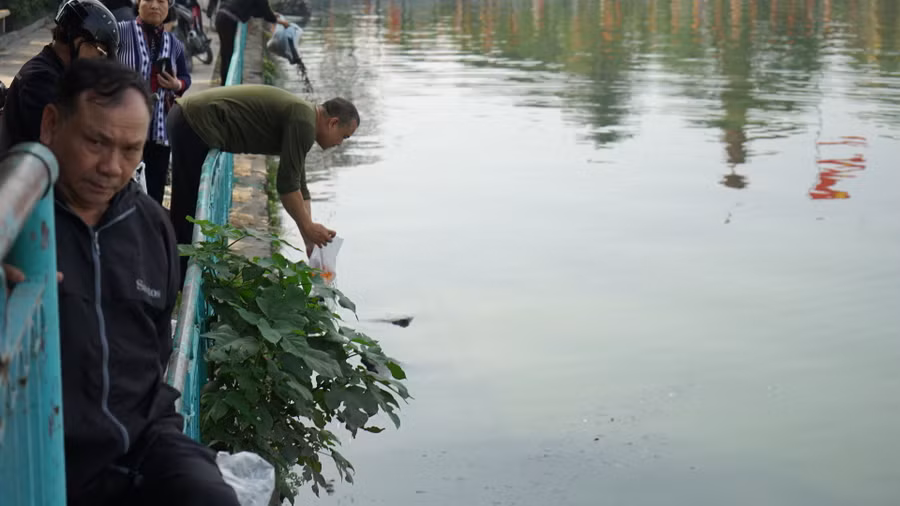Người dân thả cá, rải tro xuống Hồ Tây.