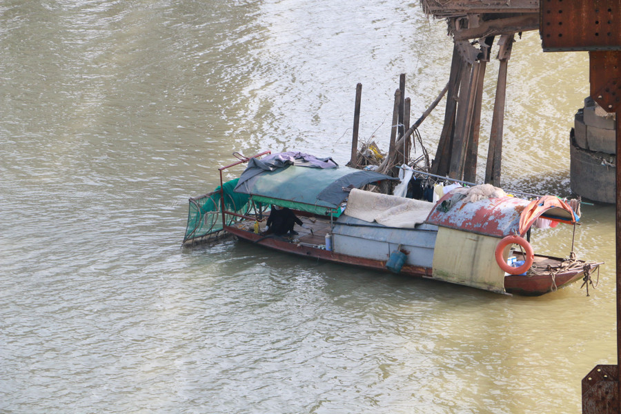 Phía bên dưới một vài chiếc thuyền trực sẵn với lưới và kích điện, cá chưa kịp bơi đã bị bắt