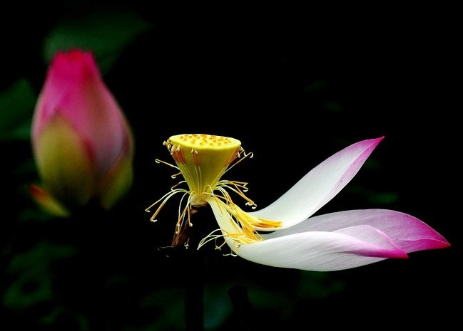 Phật dạy: Con người buông được 5 điều này cuộc sống sẽ nhàn hơn 10 phần ảnh 2 thien_3.5_vo_thuong1_kienthuc_ivdb