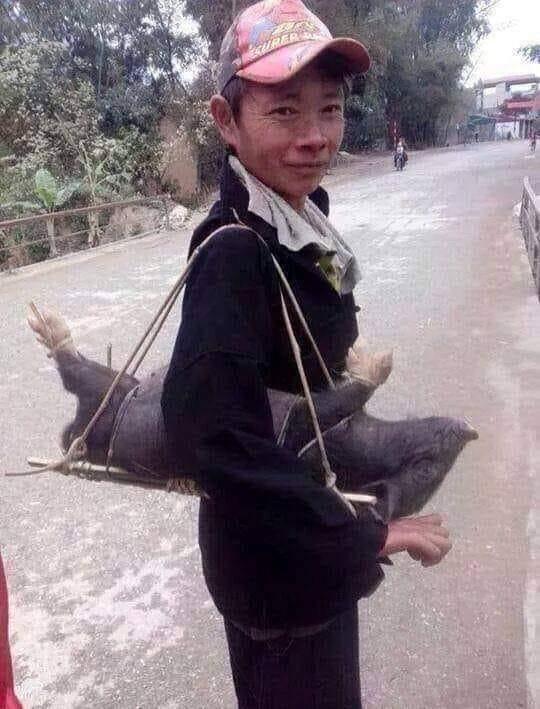 Bạn biết món gì rồi đấy