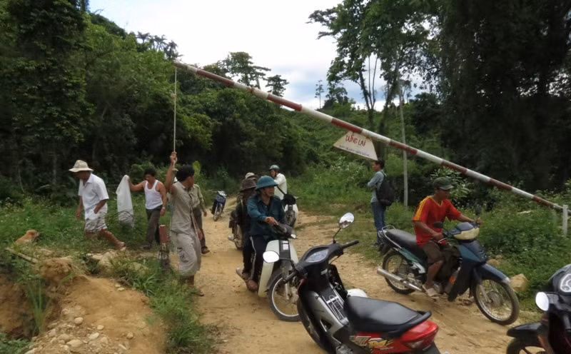 Người khai thác ươi ra khỏi cửa rừng từ tuyến đường 74