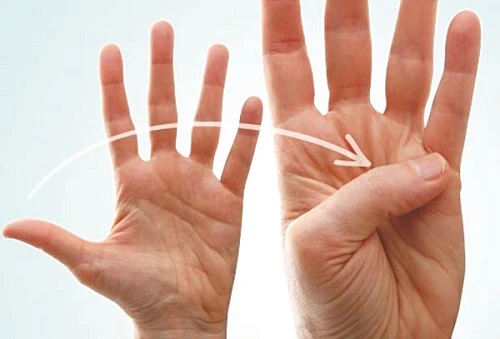 6 dấu hiệu trên bàn tay phụ nữ báo trước vận mệnh “phượng hoàng”, không giàu sang cũng phú quý cả đời