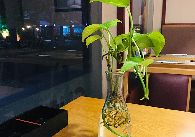 Chị gái 36 tuổi hoảng sợ sau lời cầu hôn vội vã của tiến sĩ