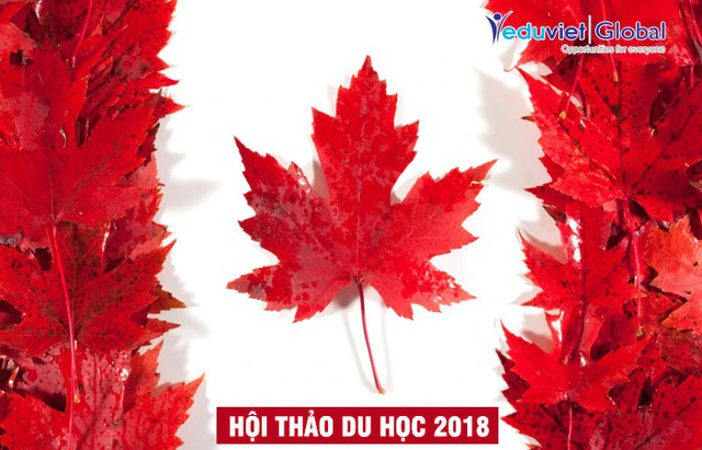 Lộ trình nào để học tập - định cư tại Canada