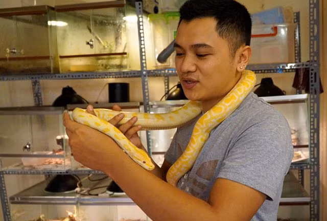 Chàng trai Hà Nội 10 năm nuôi rắn làm thú cưng