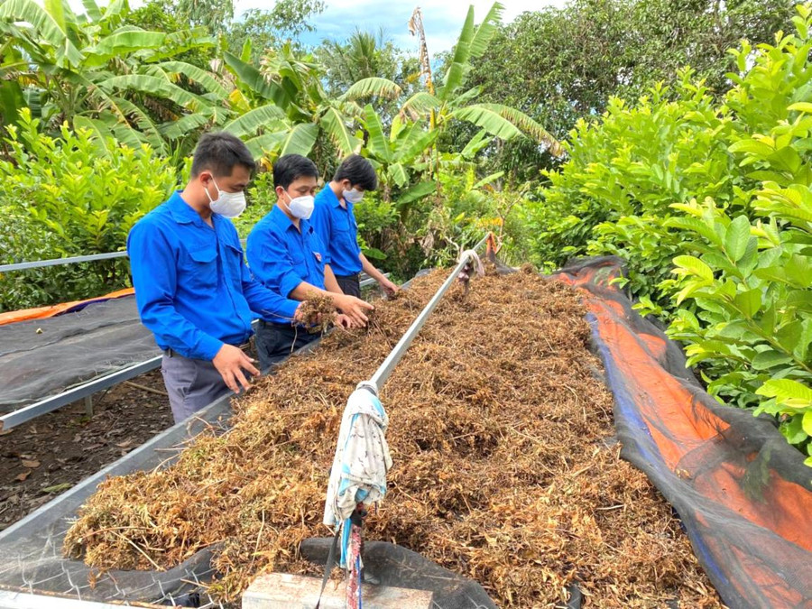 Lan toả tinh thần khởi nghiệp của thanh thiếu niên Vĩnh Long. Lan toả tinh thần khởi nghiệp của thanh thiếu niên Vĩnh Long.