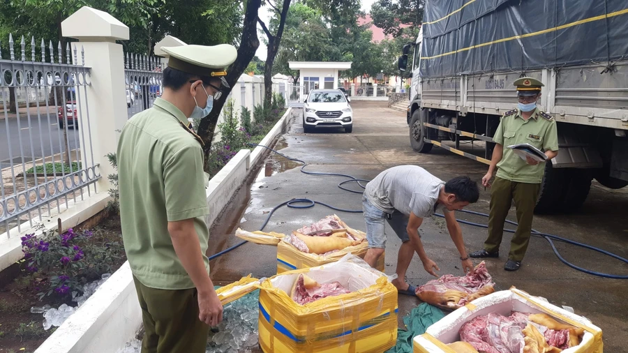 Số thịt lợn bốc mùi hôi thối được chở từ Quảng Ngãi vào Đắk Lắk tiêu thụ.