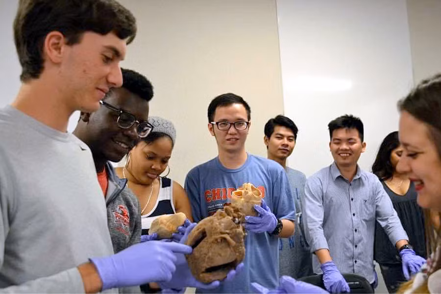 SV ngành Y của Trường ĐH Tân Tạo thực hành tại Hoa Kỳ. Ảnh: CTV