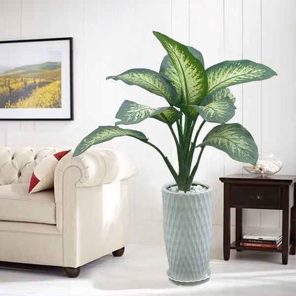 tuoi suu hop cay gi? nhung loai cay giup tuoi suu them giau sang, phu quy - 9