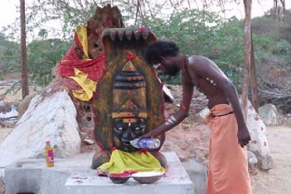 Thật hư sự tồn tại của loài rắn 5 đầu bí ẩn nhất thế giới ảnh 5