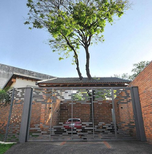 ky la nhung ngoi nha de cay xanh “dam xuyen” hinh anh 12