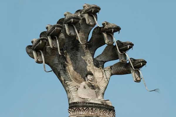 Thật hư sự tồn tại của loài rắn 5 đầu bí ẩn nhất thế giới ảnh 2