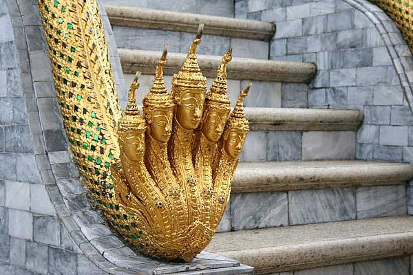 Thật hư sự tồn tại của loài rắn 5 đầu bí ẩn nhất thế giới ảnh 4