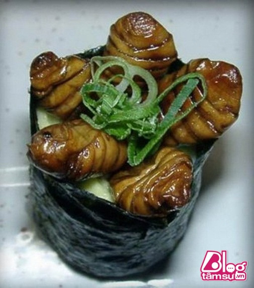 sushi-blogtamsu (6)