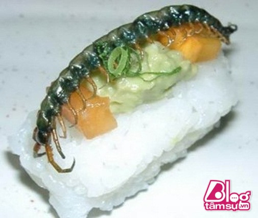 sushi-blogtamsu (4)