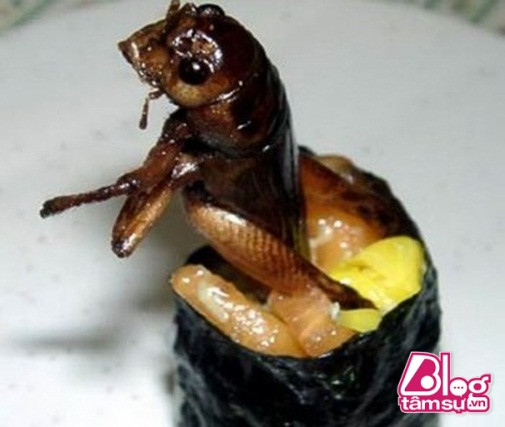 sushi-blogtamsu (2)