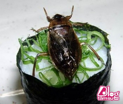 sushi-blogtamsu (3)