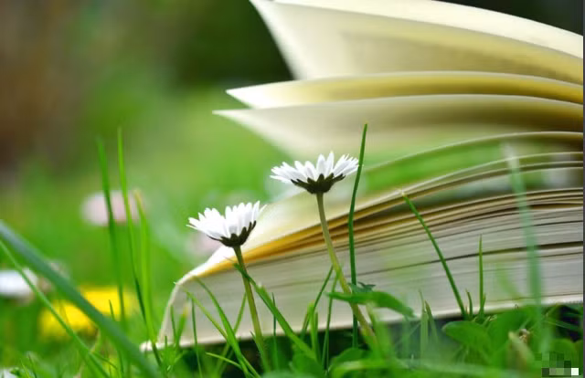 Hai con giáp mọi chuyện như ý trong tuần mới