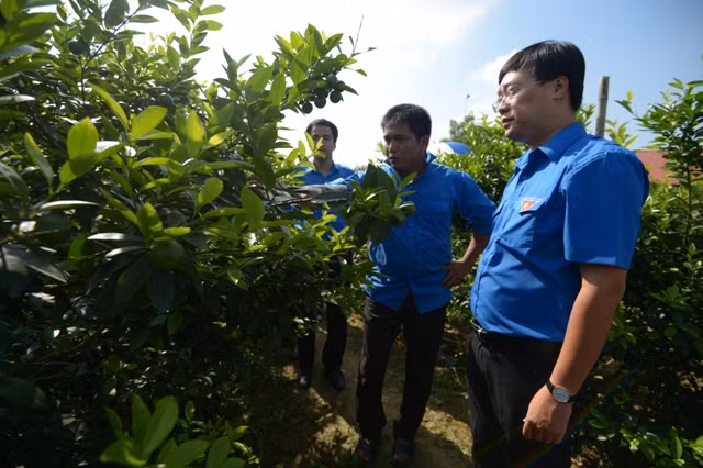 ông Lê Quốc Phong thăm mô hình thanh niên sản xuất nông nghiệp giỏi tại Tuyên Quang.