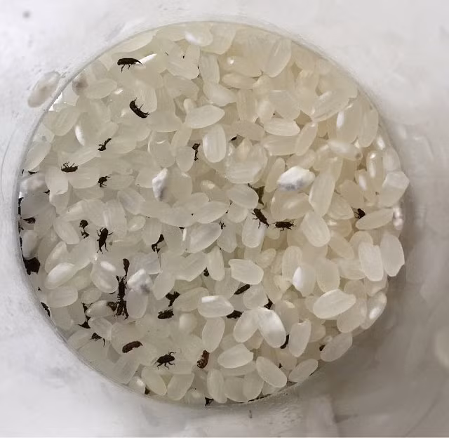 Bỏ túi những mẹo vặt này trong cuộc sống sẽ giúp bạn tiết kiệm được khối tiền - Hình 3