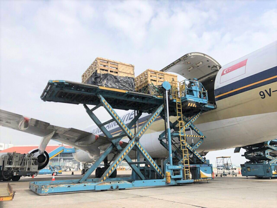 Quy trình vận chuyển bốc dỡ 200 cô bò sữa A2 thuần chủng tại sân bay Nội Bài diễn ra chỉ trong hơn một giờ đồng hồ. Bò được chuyên chở trong các cũi gỗ theo tiêu chuẩn và quy định quốc tế, các chuyên gia đi áp tải và theo dõi sức khỏe đàn bò. Quy trình vận chuyển bốc dỡ 200 cô bò sữa A2 thuần chủng tại sân bay Nội Bài diễn ra chỉ trong hơn một giờ đồng hồ. Bò được chuyên chở trong các cũi gỗ theo tiêu chuẩn và quy định quốc tế, các chuyên gia đi áp tải và theo dõi sức khỏe đàn bò.