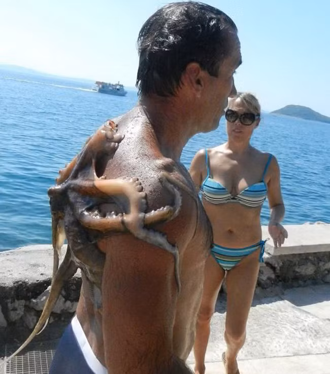 bat gap nhung khoanh khac "bi hai" tren bai bien hinh anh 10