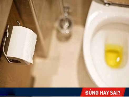 Vừa ngủ dậy đi tiểu ngay lập tức có tốt không: Lâu nay nhiều người vẫn làm mà không hiểu