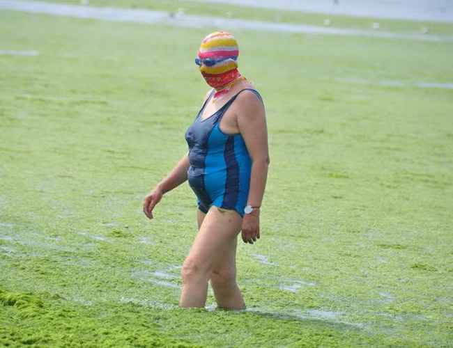 bat gap nhung khoanh khac "bi hai" tren bai bien hinh anh 14