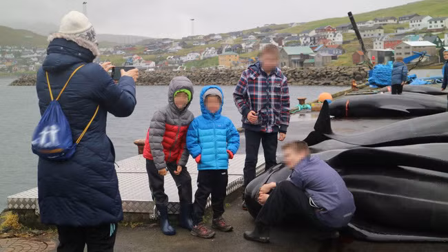 Sự thật tàn khốc đằng sau vùng biển cứ đến tháng 8 hàng năm lại chuyển sang màu đỏ tươi rùng rợn như phim kinh dị - Ảnh 6.