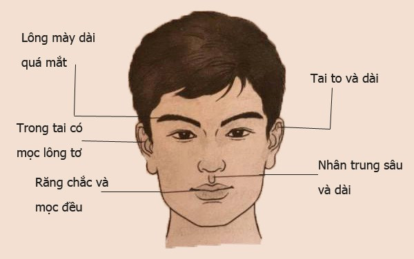 Tướng mặt của người đàn ông phú quý ngập nhà, một đời may mắn