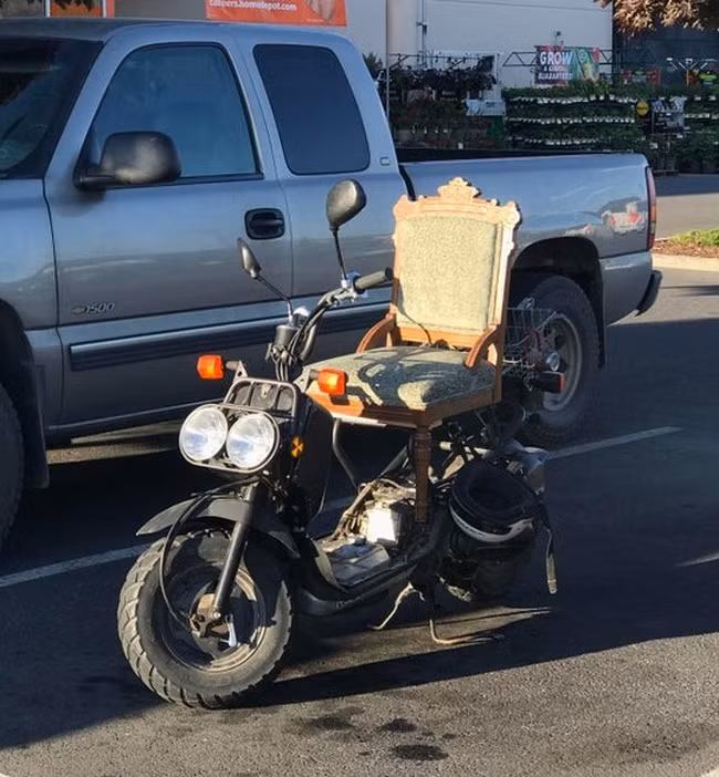 loat anh minh chung nhung nguoi luoi bieng rat thong minh hinh anh 6