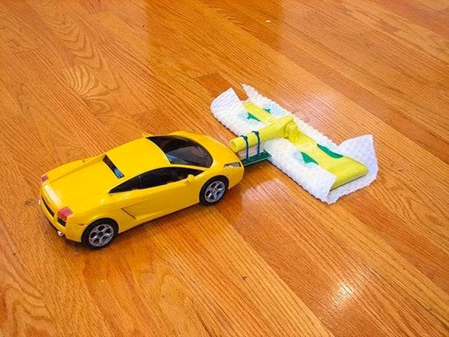 loat anh minh chung nhung nguoi luoi bieng rat thong minh hinh anh 2