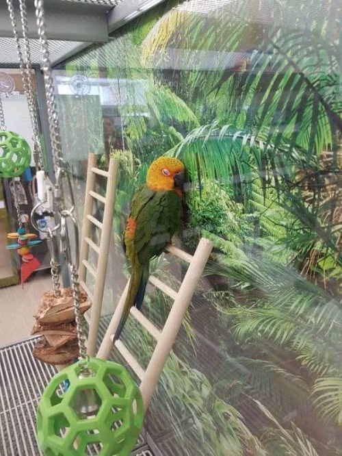 Cho em gần nhà thêm chút nữa. Cho em gần nhà thêm chút nữa.