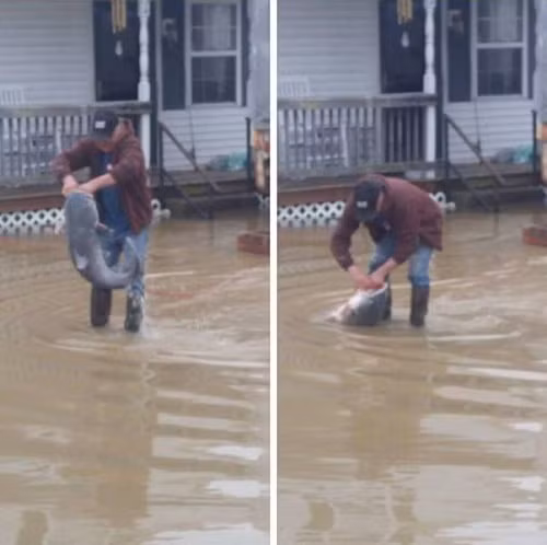 Bắt cá chưa bao giờ dễ hơn thế. Bắt cá chưa bao giờ dễ hơn thế.