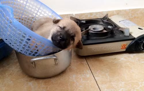 10-anh-hai-hot-nhat-facebook-trong-ngay-1