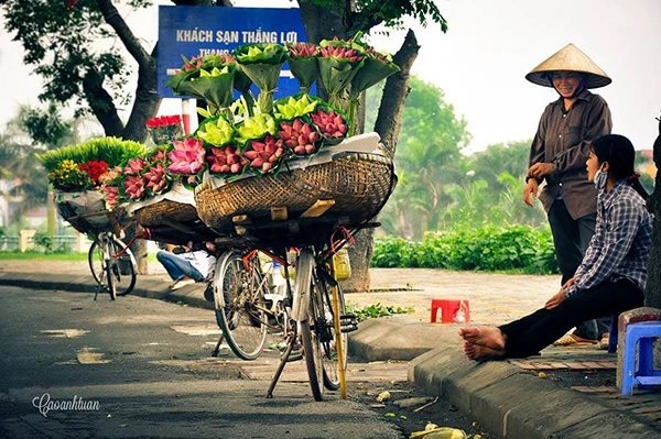 Mùa của những bản tình ca