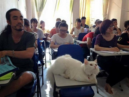 Chăm chỉ học hành. 10-anh-hai-hot-nhat-facebook-trong-ngay-8