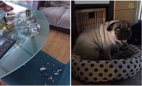 10-anh-hai-hot-nhat-facebook-trong-ngay-4