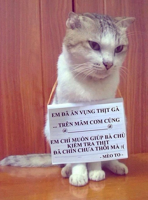 Lời thú tội ngọt ngào. 10-anh-hai-hot-nhat-facebook-trong-ngay-2