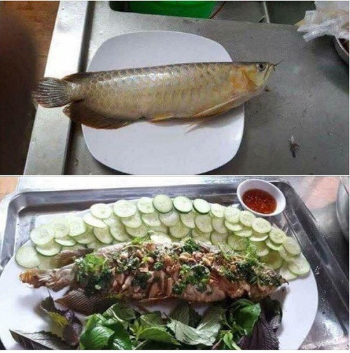 Bữa ăn giản dị. 10-anh-hai-hot-nhat-facebook-trong-ngay-5